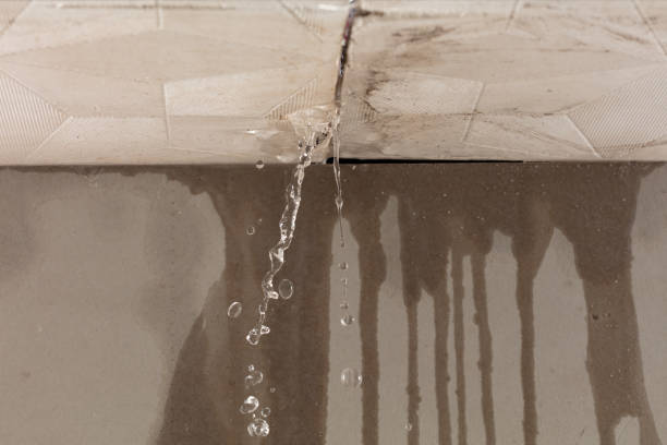 Professional Water Damage Restoration technician working in Pinewood, FL